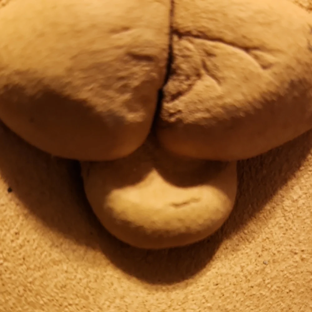 Fat Cat Piggy Bank